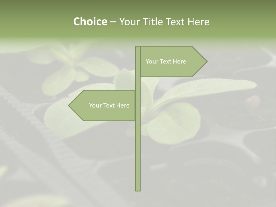 Agriculture Nursery Plant PowerPoint Template