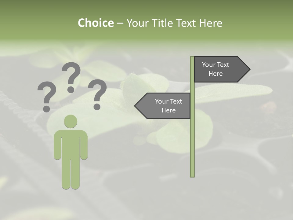 Agriculture Nursery Plant PowerPoint Template
