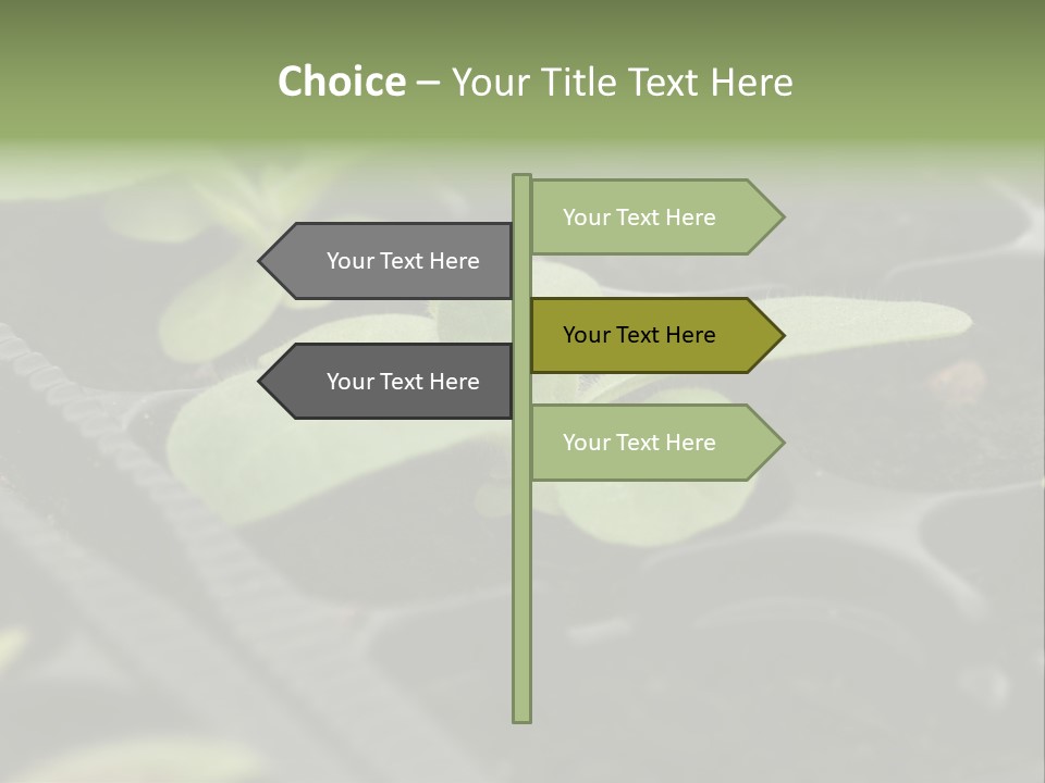 Agriculture Nursery Plant PowerPoint Template