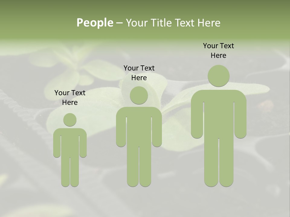 Agriculture Nursery Plant PowerPoint Template