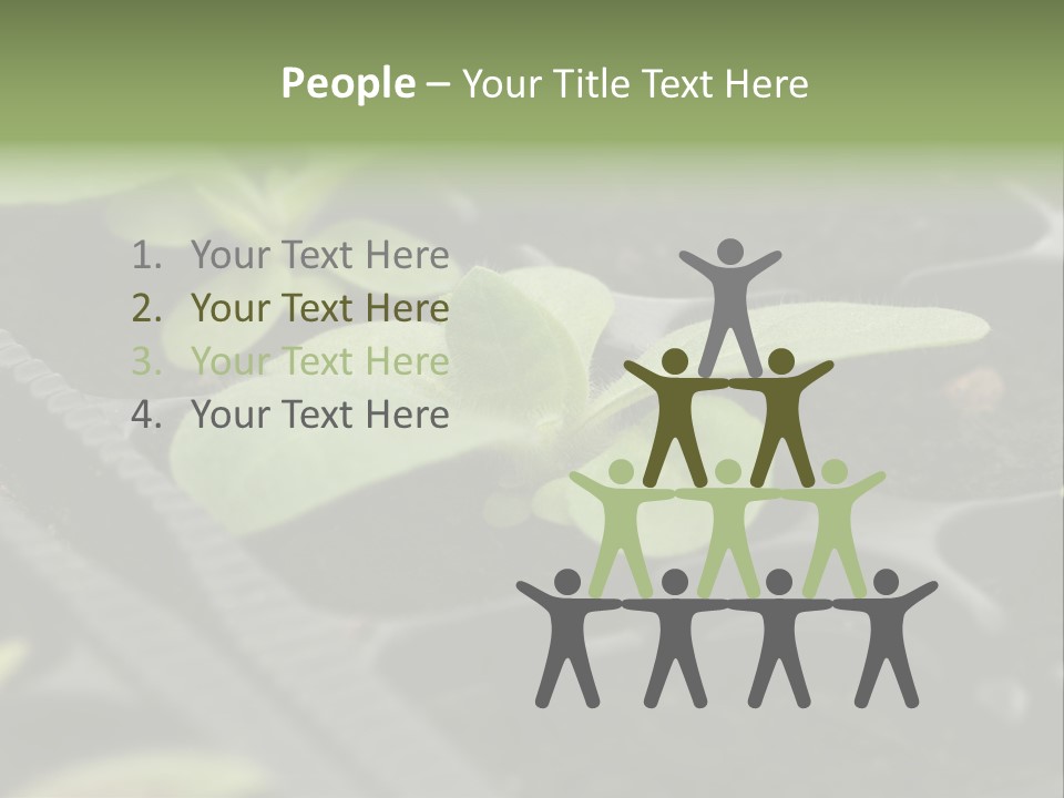 Agriculture Nursery Plant PowerPoint Template