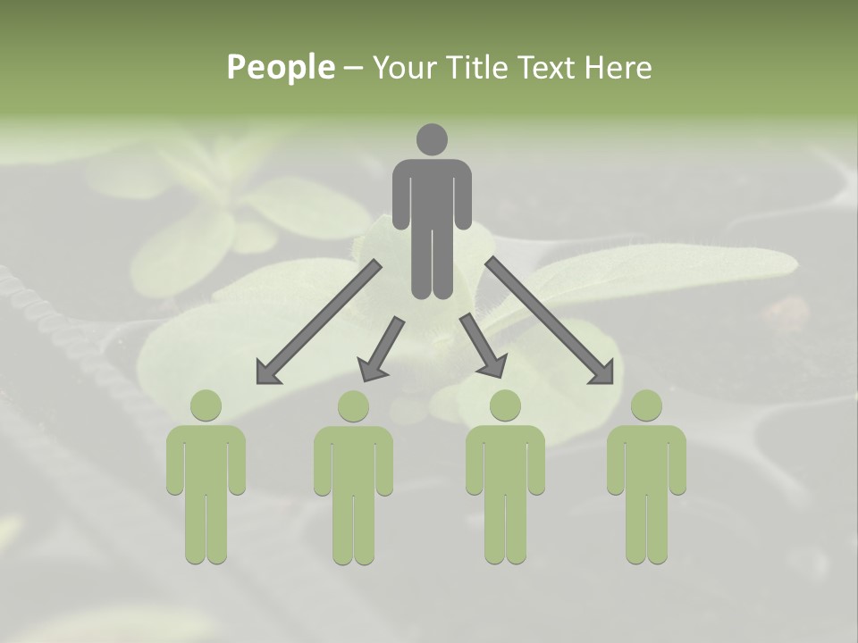 Agriculture Nursery Plant PowerPoint Template