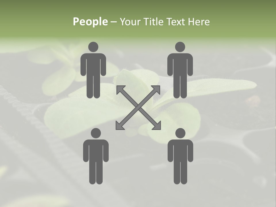 Agriculture Nursery Plant PowerPoint Template