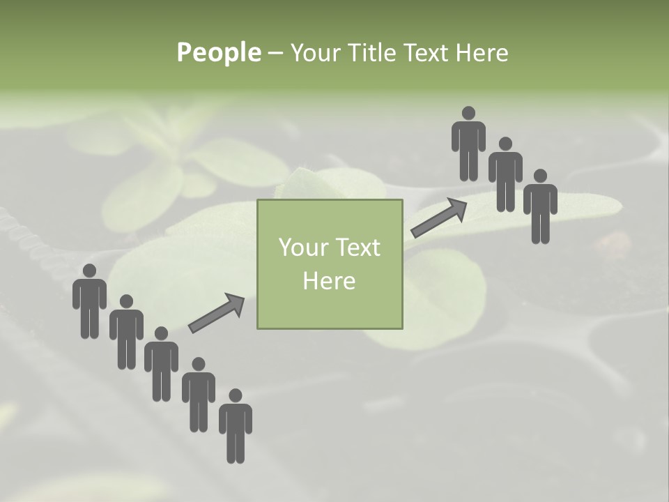 Agriculture Nursery Plant PowerPoint Template