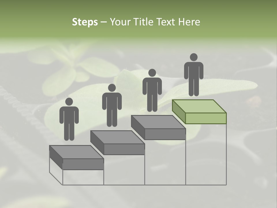 Agriculture Nursery Plant PowerPoint Template