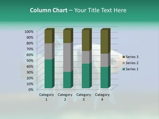 Water Fighting Aggressive PowerPoint Template