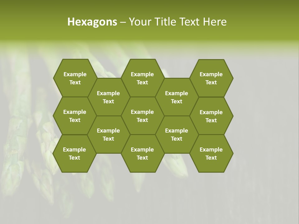 Bundle Season Wooden PowerPoint Template