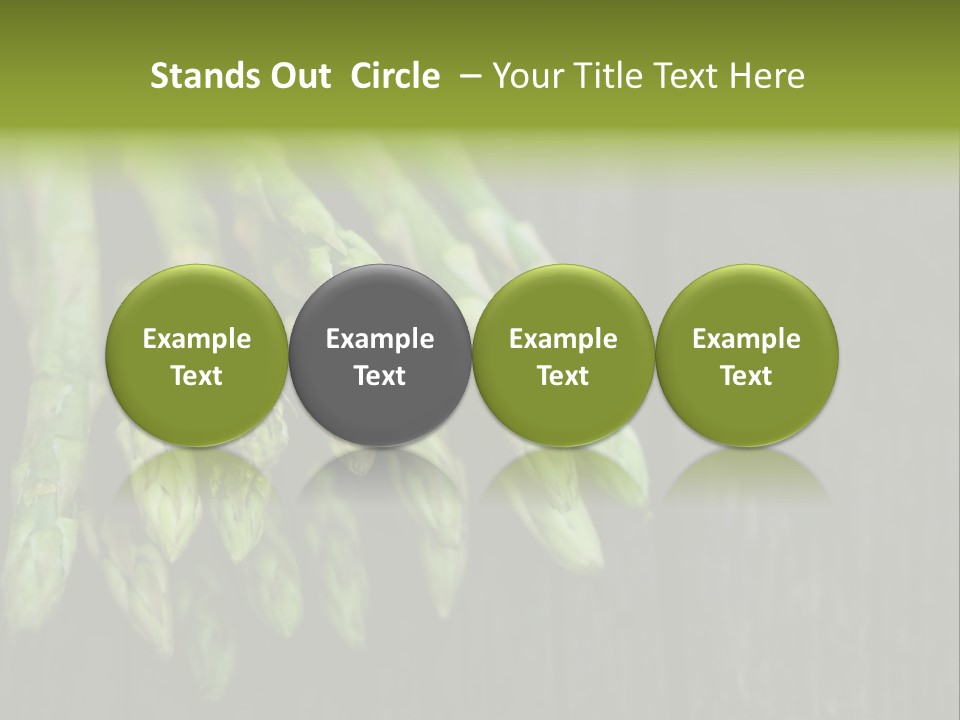 Bundle Season Wooden PowerPoint Template