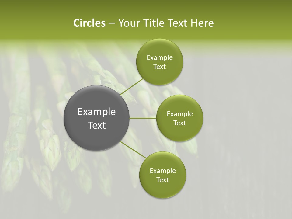 Bundle Season Wooden PowerPoint Template