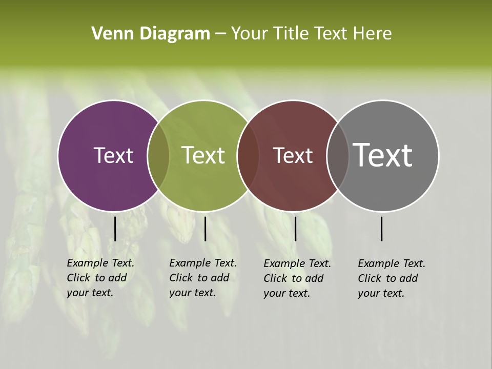 Bundle Season Wooden PowerPoint Template