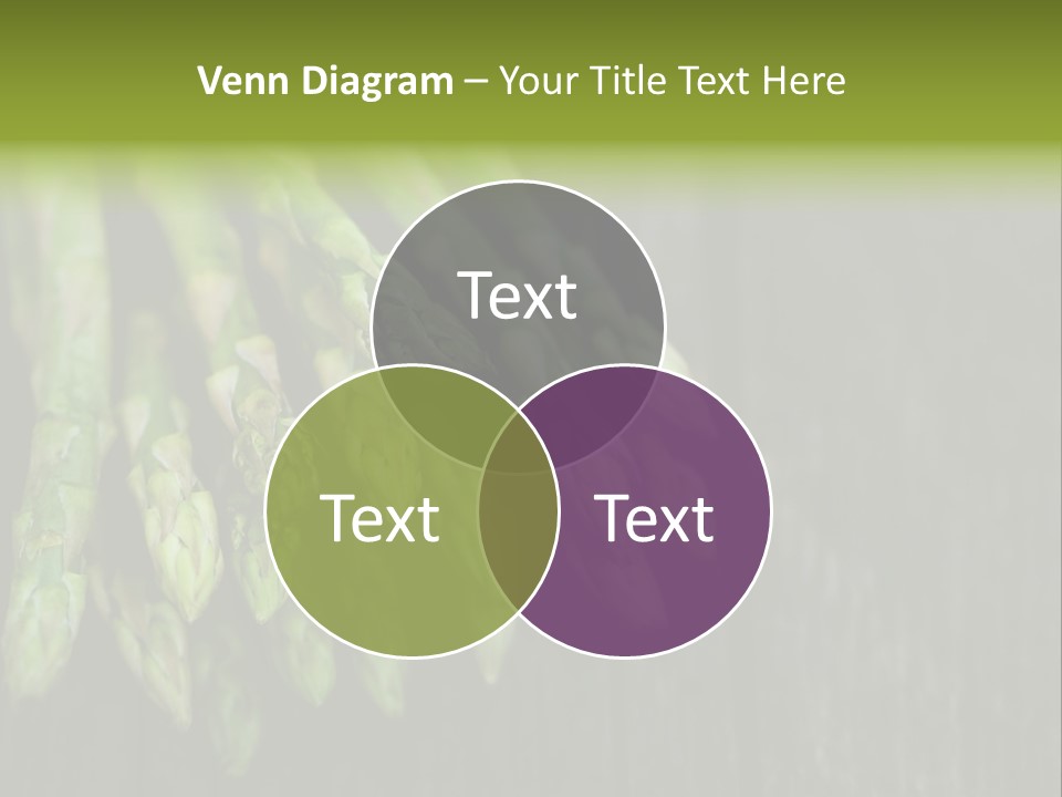 Bundle Season Wooden PowerPoint Template