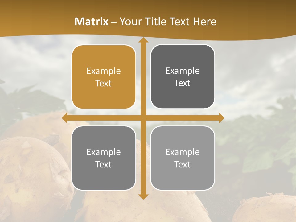 Rural Land Rustic PowerPoint Template