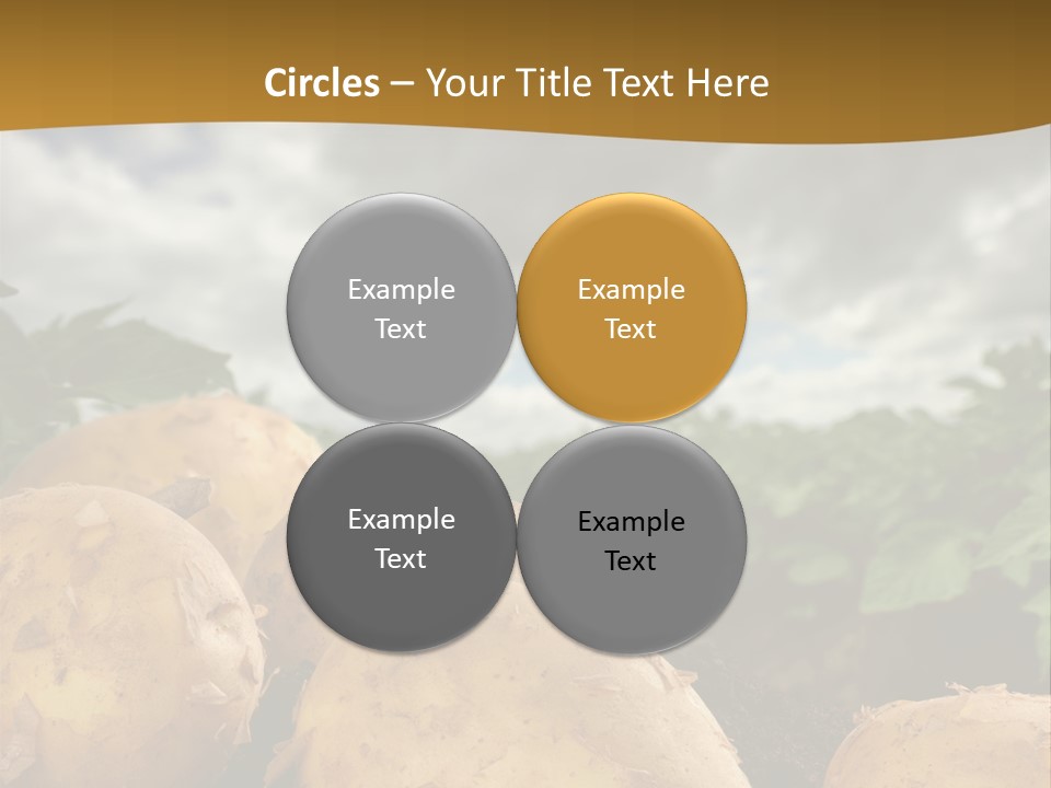 Rural Land Rustic PowerPoint Template