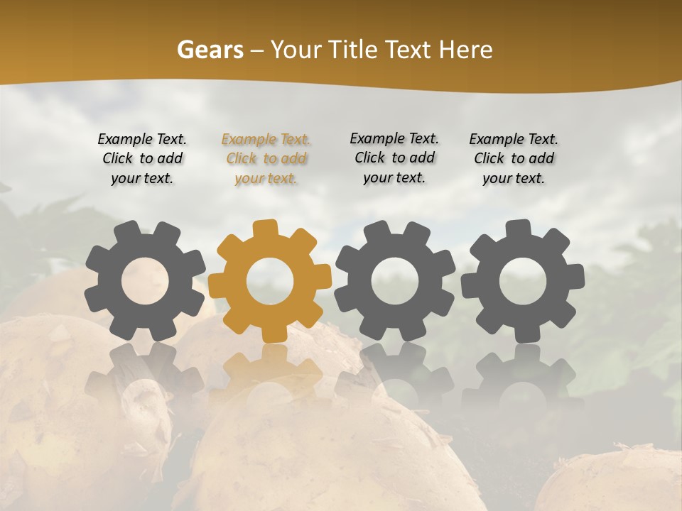 Rural Land Rustic PowerPoint Template