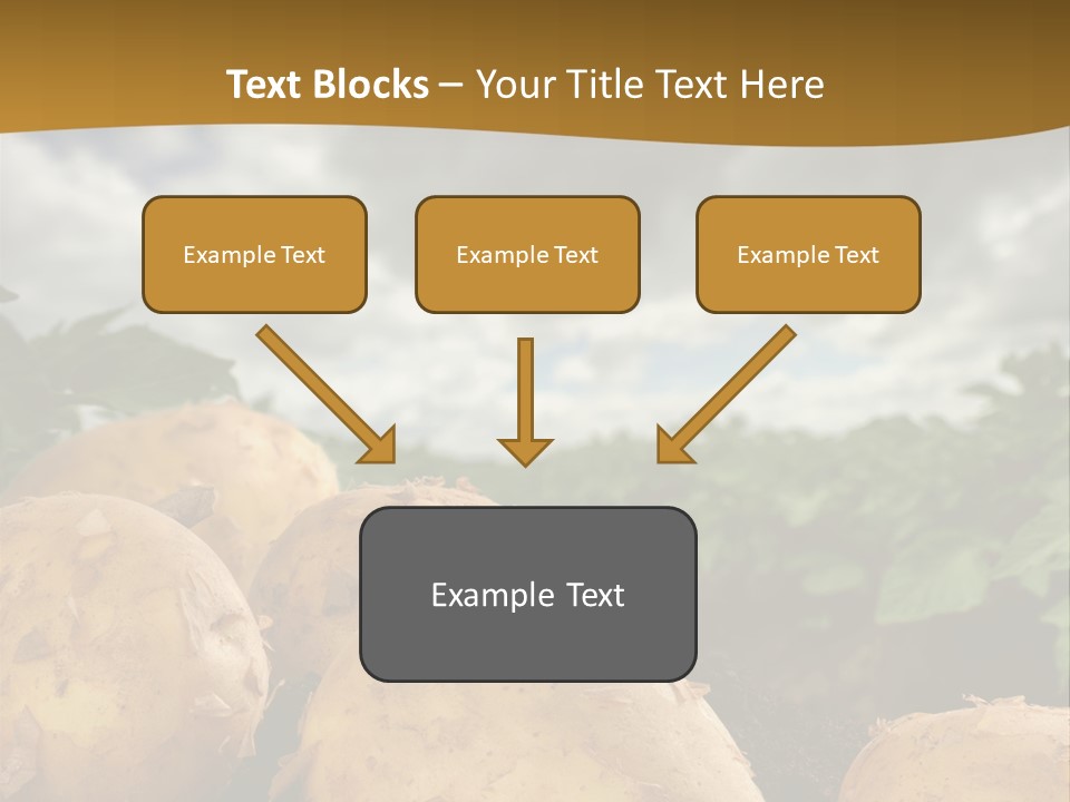 Rural Land Rustic PowerPoint Template