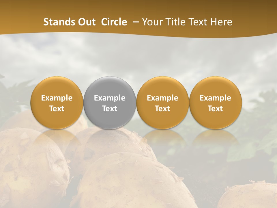 Rural Land Rustic PowerPoint Template