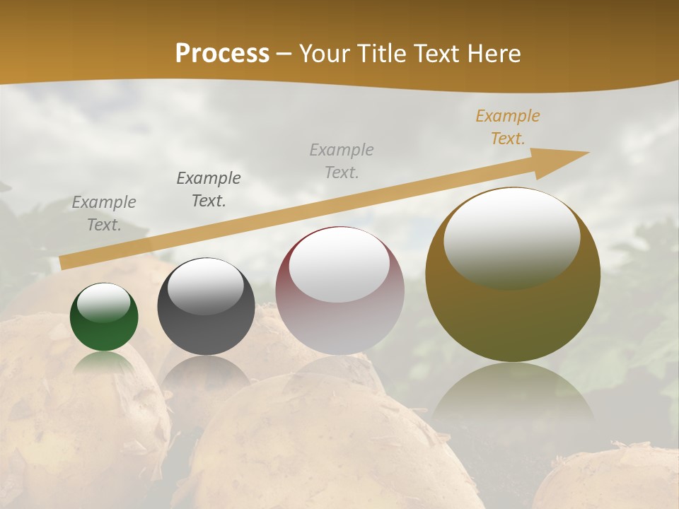Rural Land Rustic PowerPoint Template
