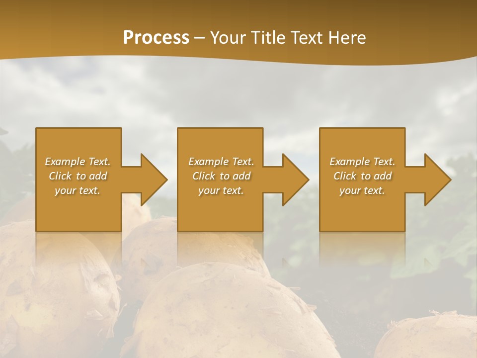 Rural Land Rustic PowerPoint Template