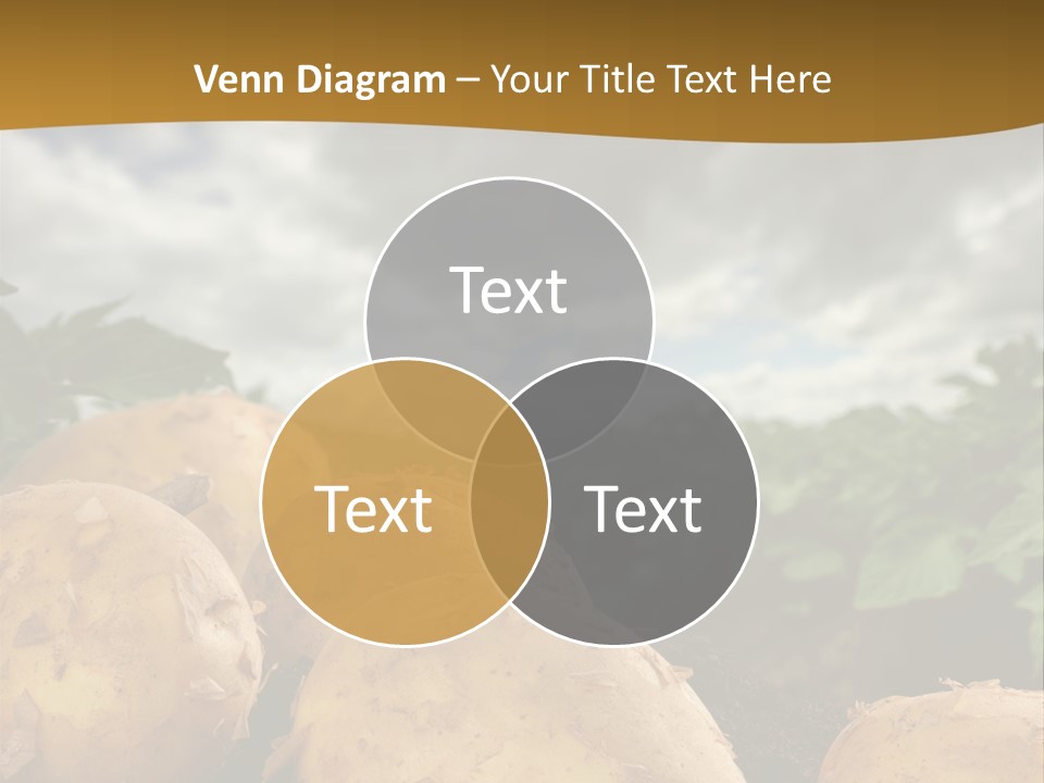 Rural Land Rustic PowerPoint Template
