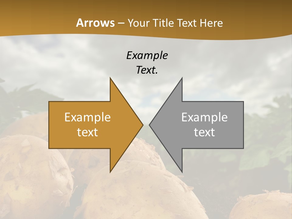 Rural Land Rustic PowerPoint Template