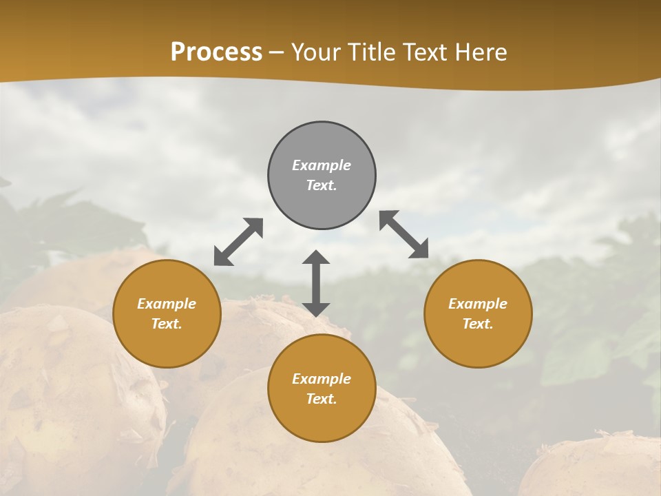 Rural Land Rustic PowerPoint Template