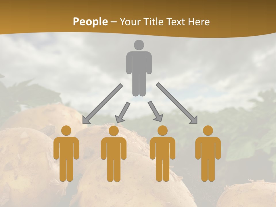 Rural Land Rustic PowerPoint Template