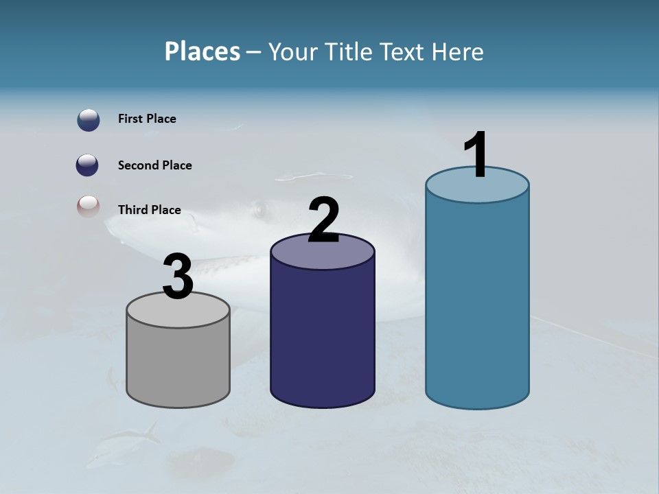 A Large Shark Is Swimming In The Ocean PowerPoint Template