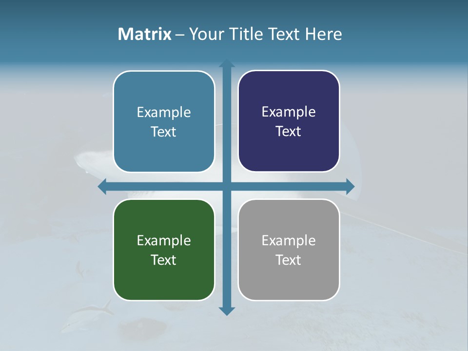 A Large Shark Is Swimming In The Ocean PowerPoint Template