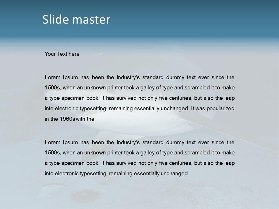 A Large Shark Is Swimming In The Ocean PowerPoint Template