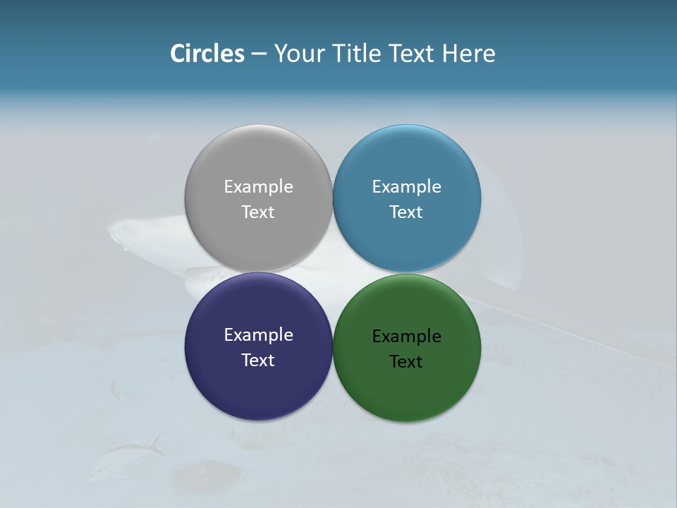 A Large Shark Is Swimming In The Ocean PowerPoint Template