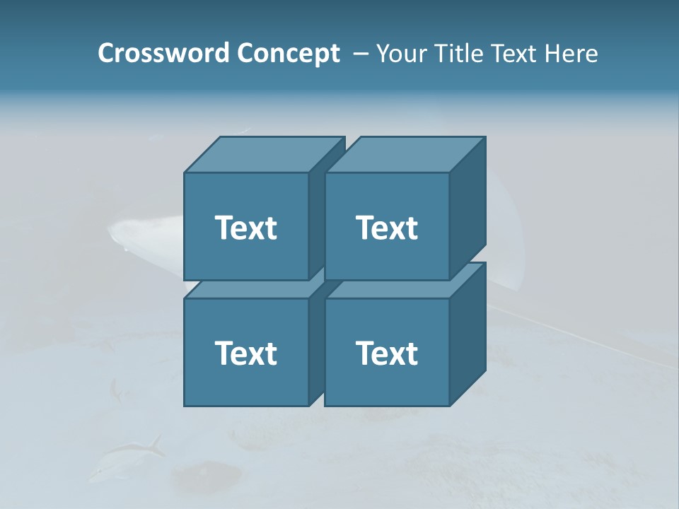 A Large Shark Is Swimming In The Ocean PowerPoint Template