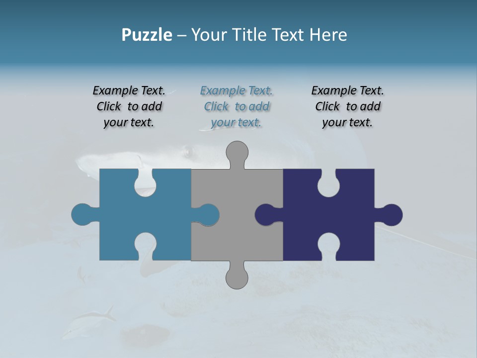 A Large Shark Is Swimming In The Ocean PowerPoint Template