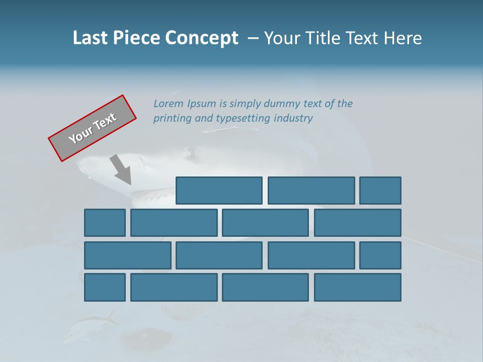 A Large Shark Is Swimming In The Ocean PowerPoint Template