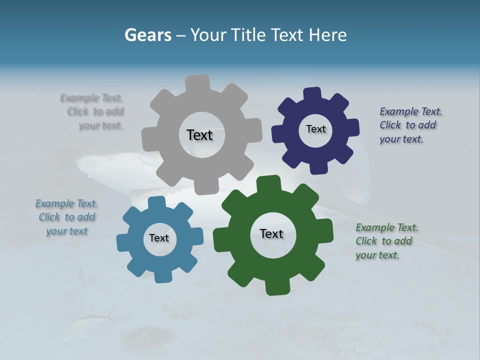 A Large Shark Is Swimming In The Ocean PowerPoint Template