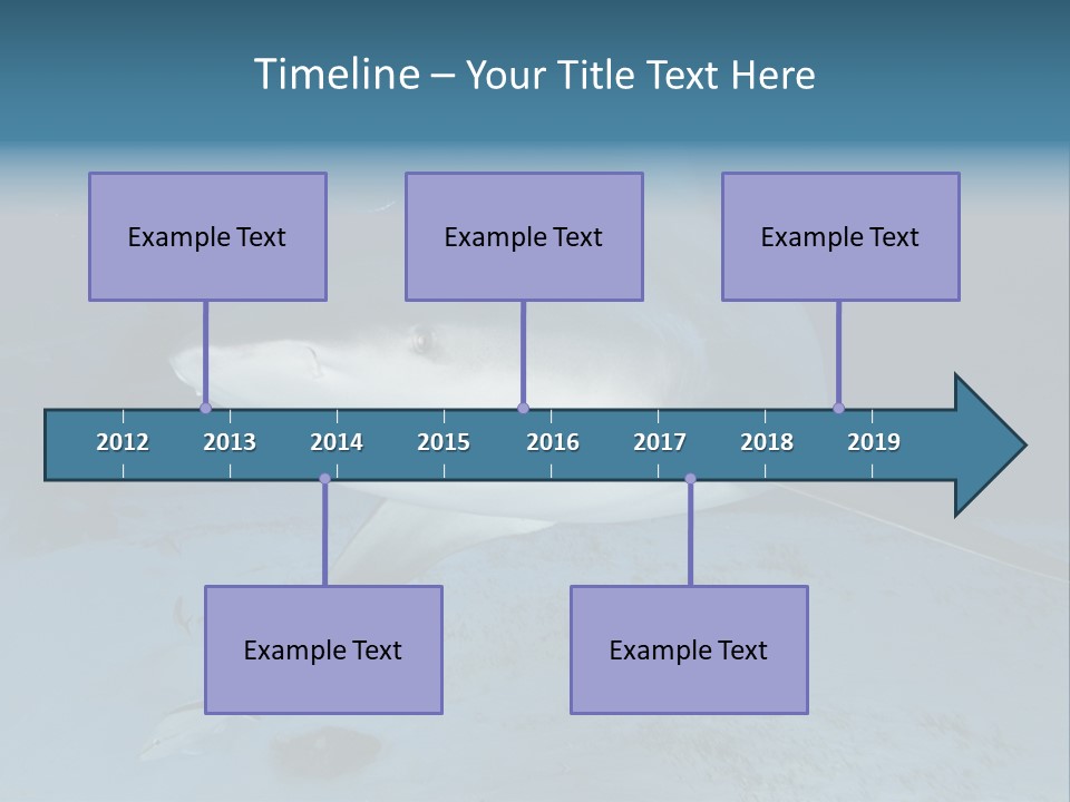 A Large Shark Is Swimming In The Ocean PowerPoint Template