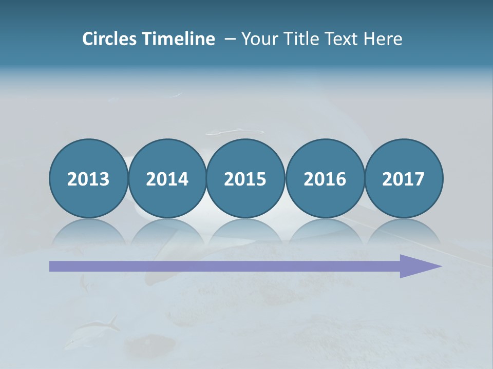 A Large Shark Is Swimming In The Ocean PowerPoint Template