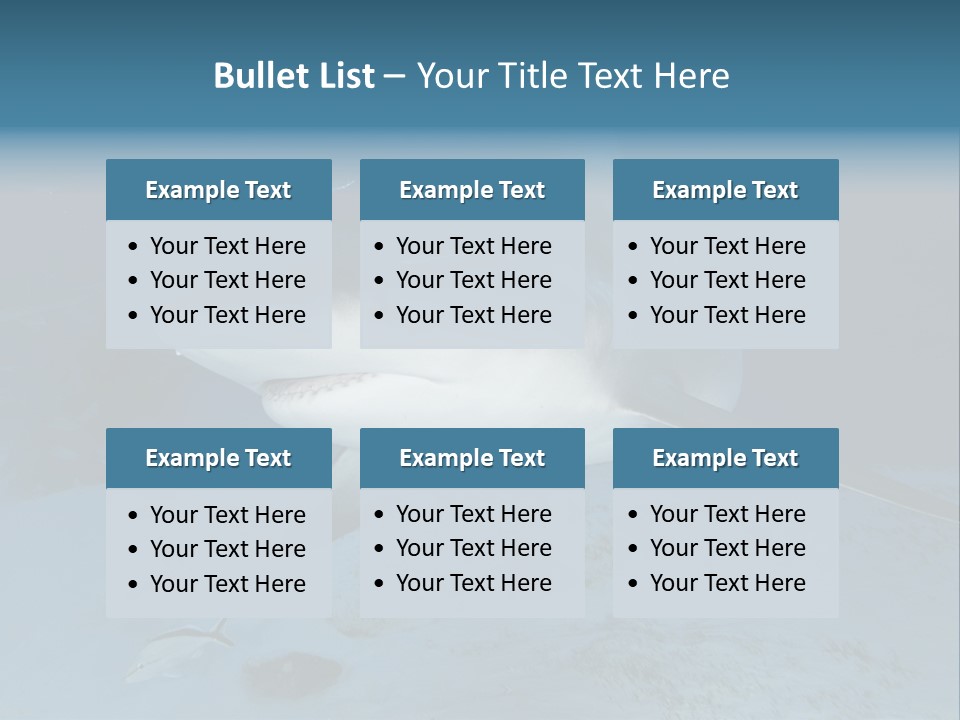 A Large Shark Is Swimming In The Ocean PowerPoint Template