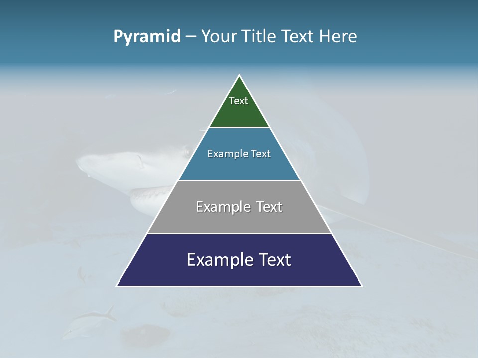 A Large Shark Is Swimming In The Ocean PowerPoint Template