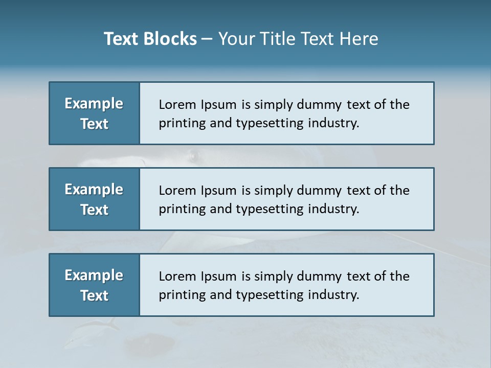 A Large Shark Is Swimming In The Ocean PowerPoint Template