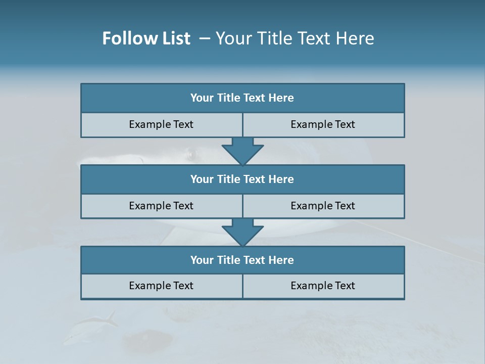 A Large Shark Is Swimming In The Ocean PowerPoint Template