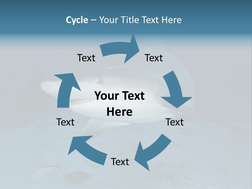 A Large Shark Is Swimming In The Ocean PowerPoint Template