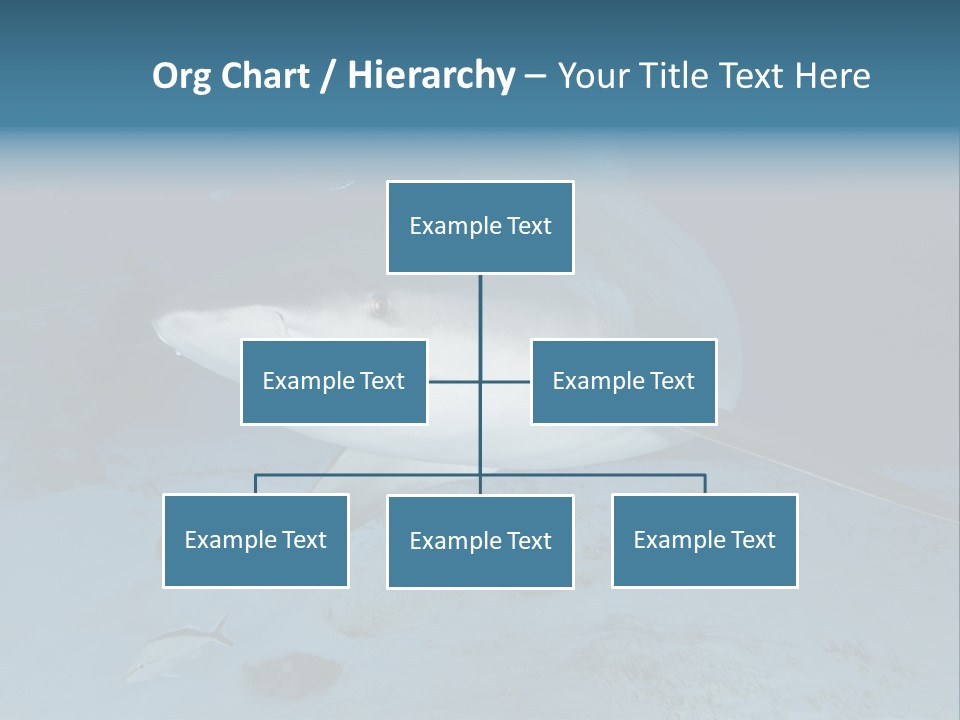 A Large Shark Is Swimming In The Ocean PowerPoint Template