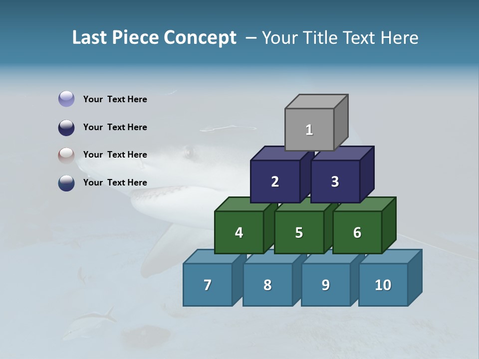 A Large Shark Is Swimming In The Ocean PowerPoint Template