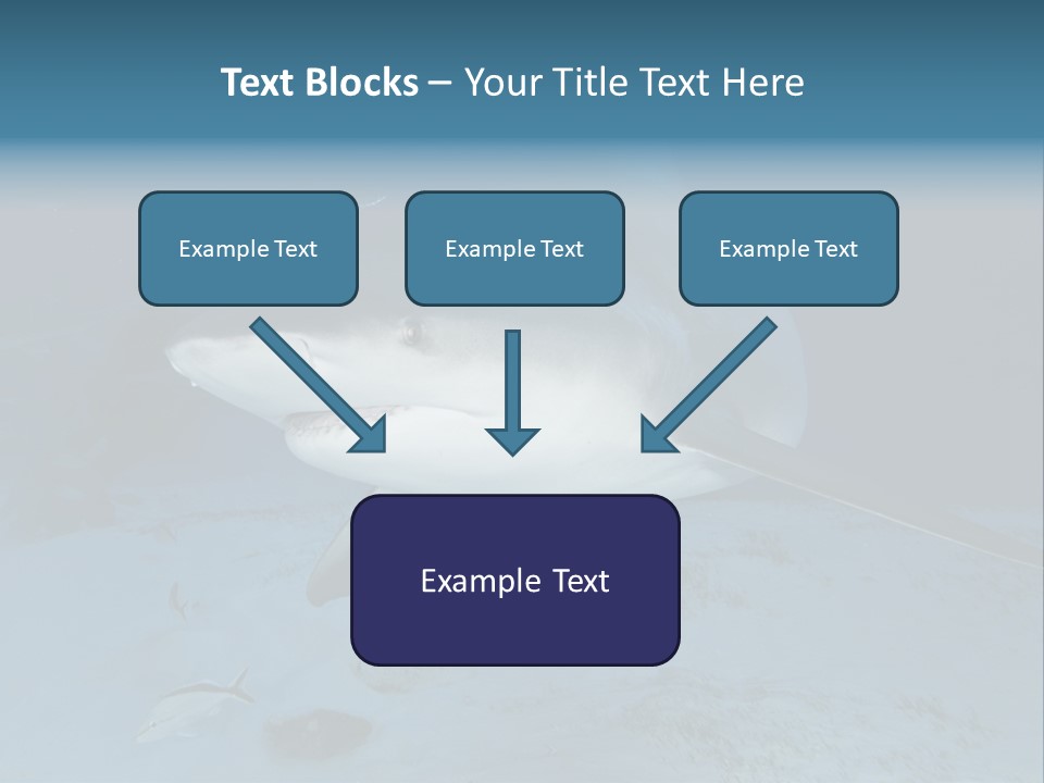 A Large Shark Is Swimming In The Ocean PowerPoint Template