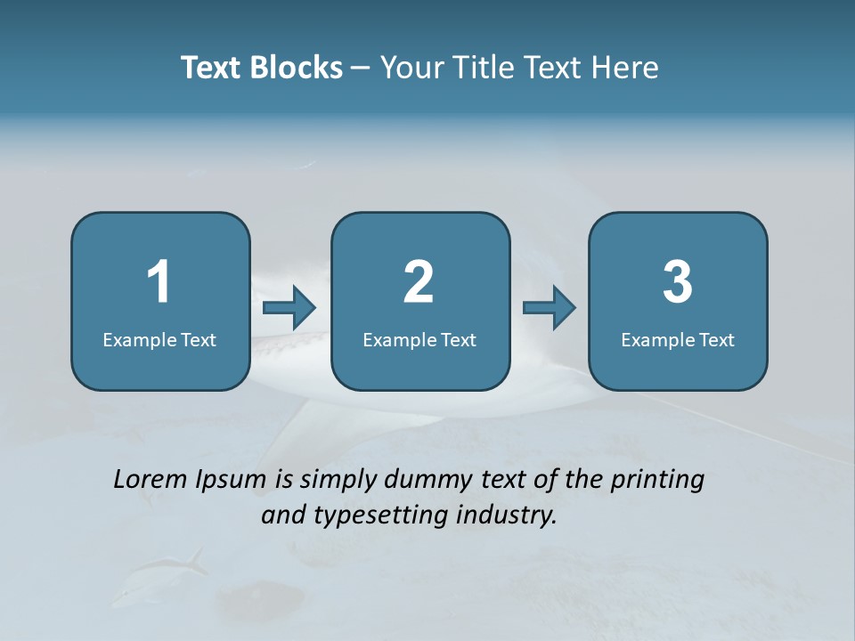 A Large Shark Is Swimming In The Ocean PowerPoint Template