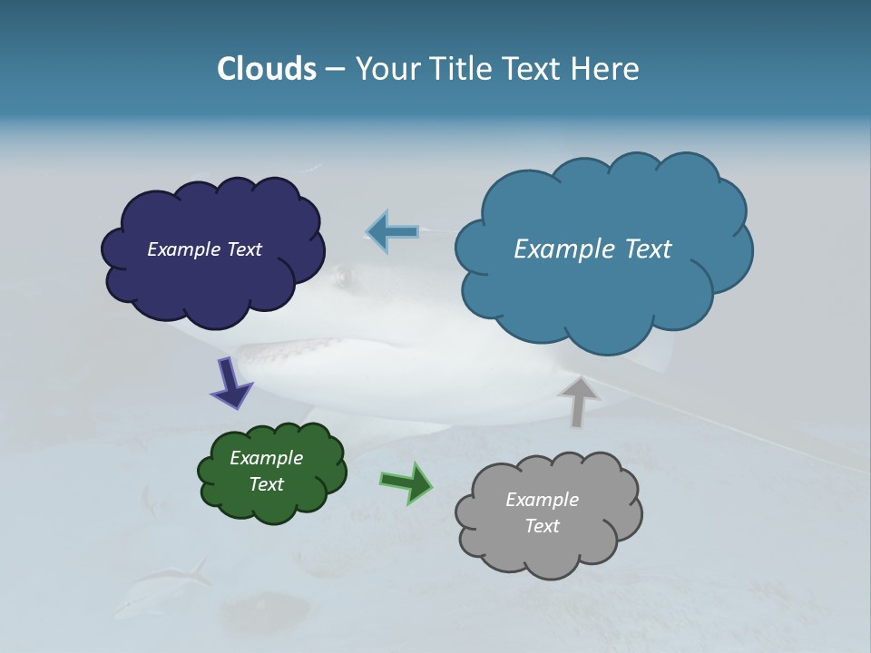 A Large Shark Is Swimming In The Ocean PowerPoint Template