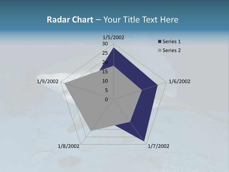 A Large Shark Is Swimming In The Ocean PowerPoint Template