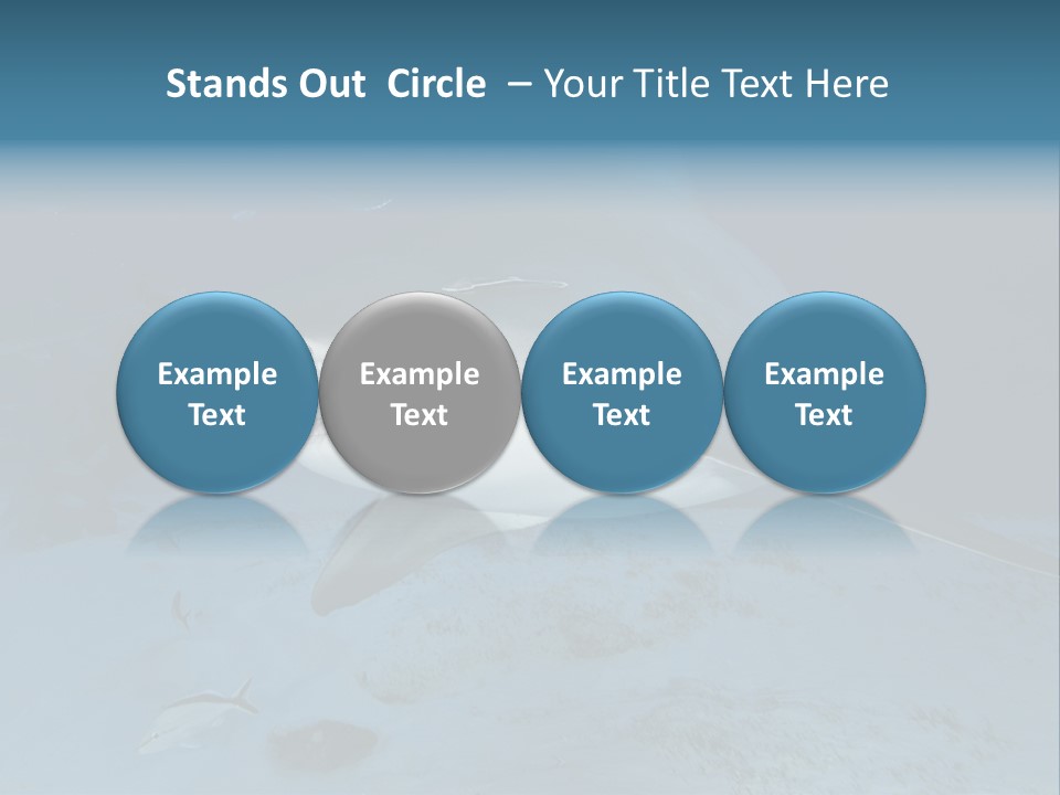 A Large Shark Is Swimming In The Ocean PowerPoint Template