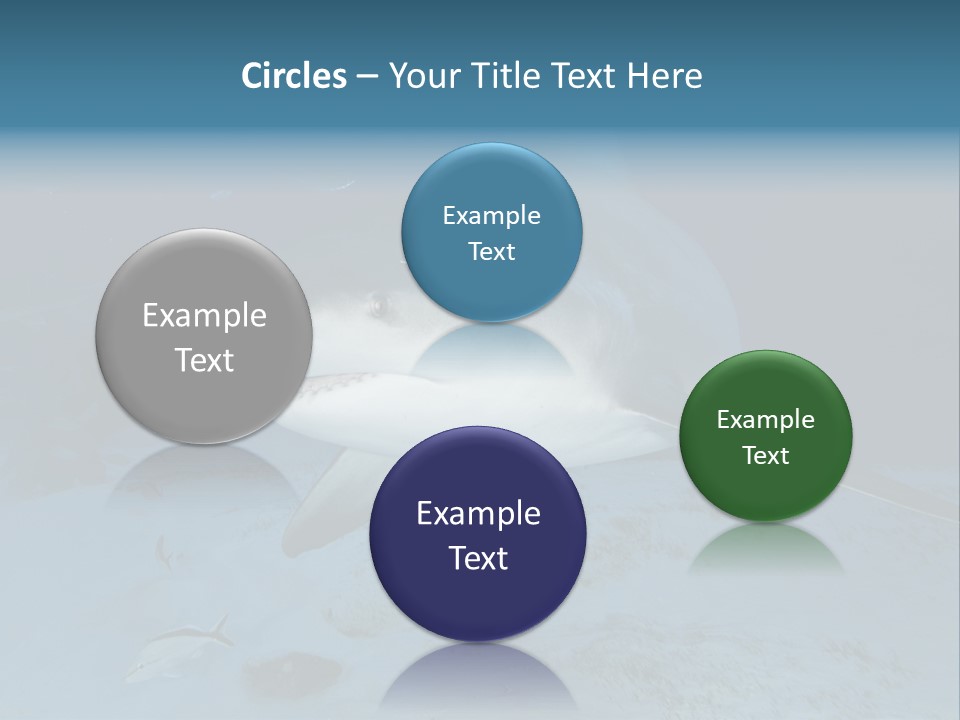 A Large Shark Is Swimming In The Ocean PowerPoint Template