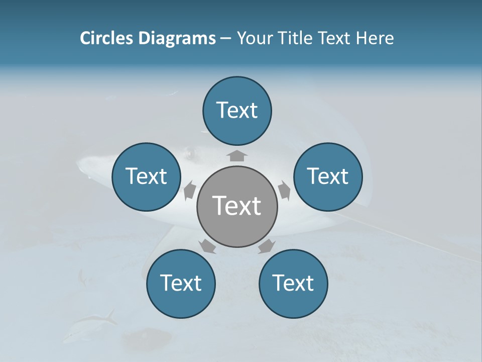 A Large Shark Is Swimming In The Ocean PowerPoint Template